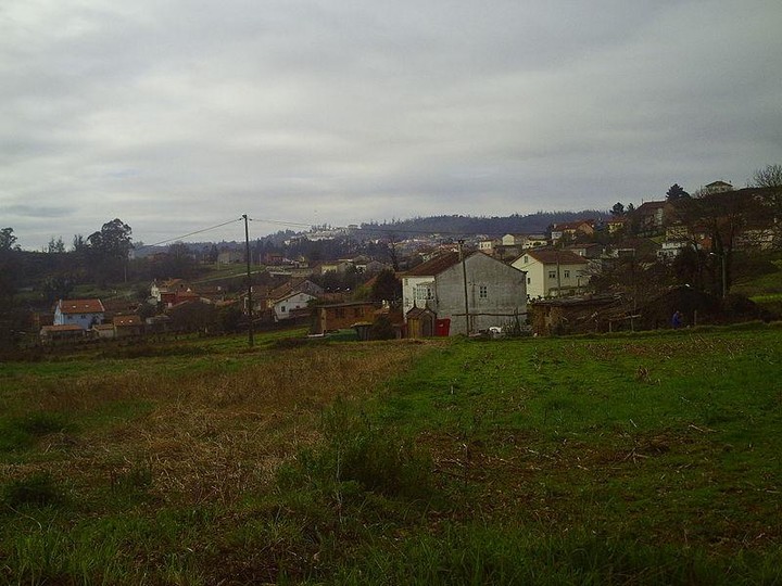 Picture of Angrois