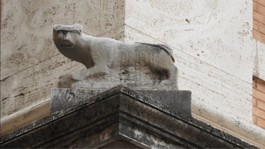 I Tarocchi dei Gatti - Il Grande Museo dei Tarocchi - lo shop